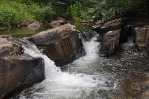 Samandhi